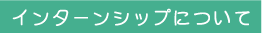 インターンシップについて